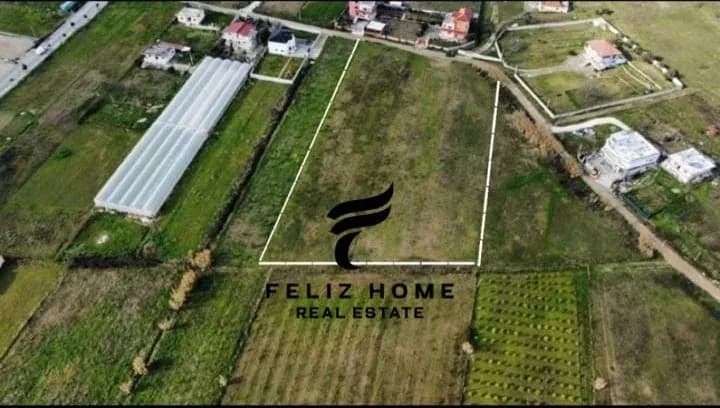 SHITET TRUALL 7000M2 PRUSH 700.000 EURO 3