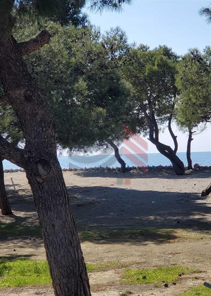 Banesa në shitje në Kune, Shengjin 3