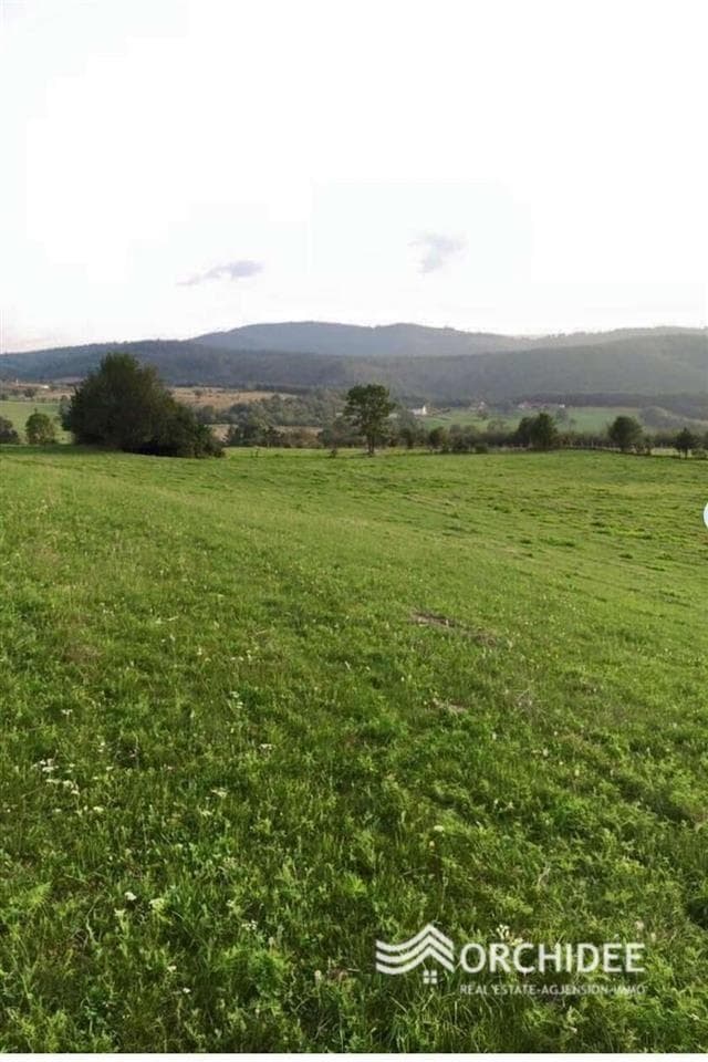 🏞️SHITET TOKA NË PRAPASHTICË 3
