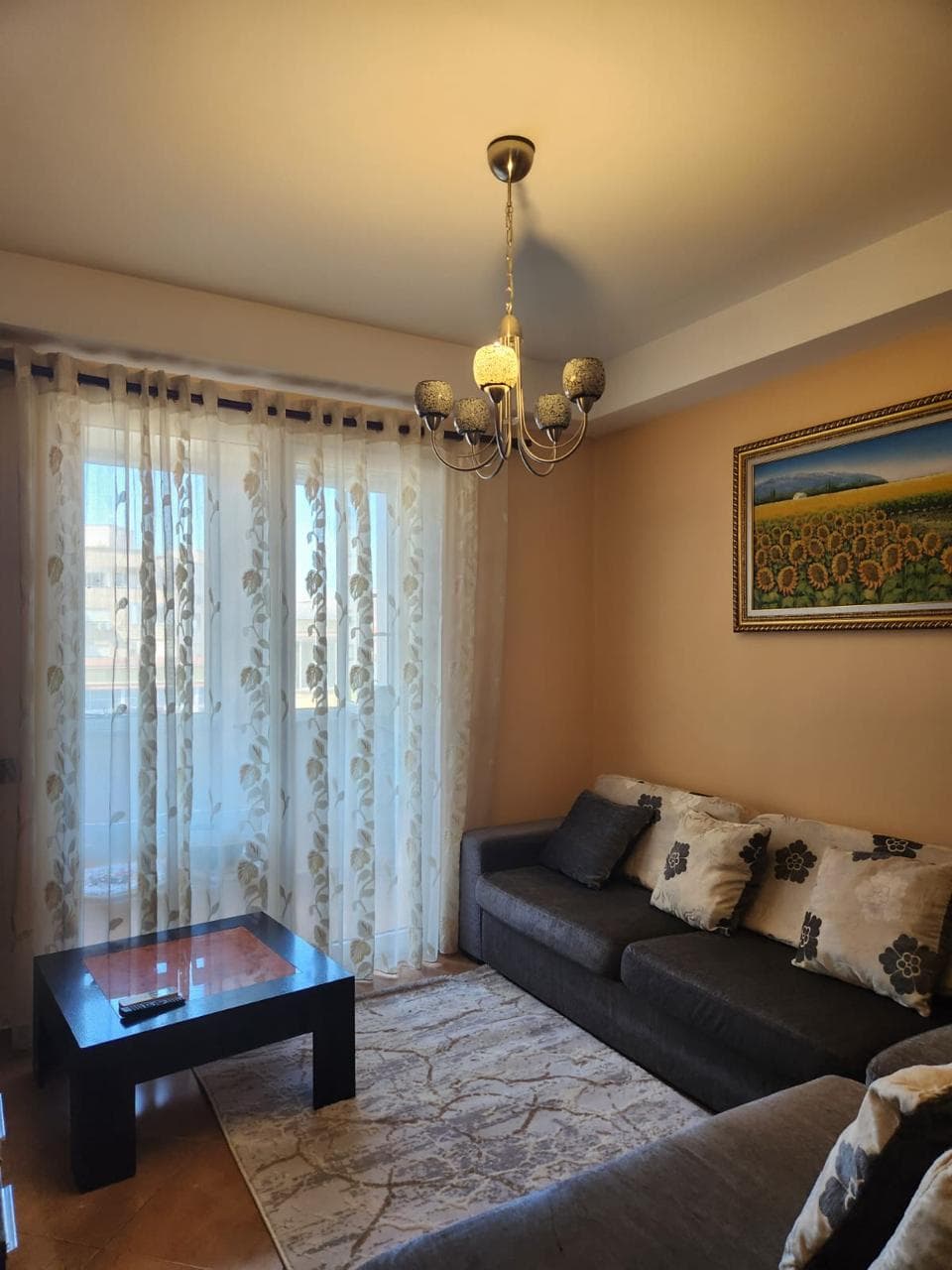 Apartament 1+1