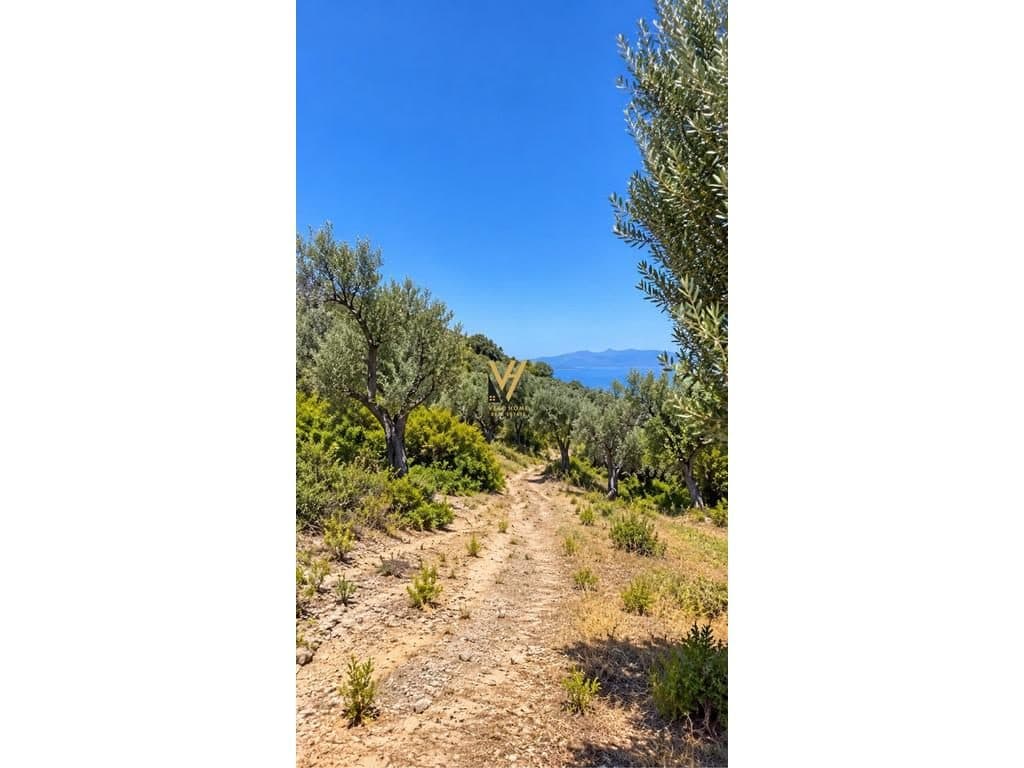 SHITET TOKE 76.000 M2 VIJE E PARE NE PORTO PALERMO