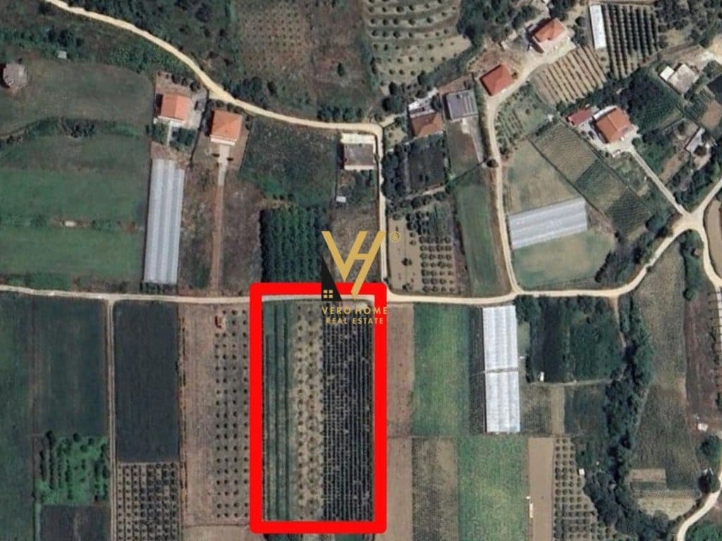 SHITET TOKE ARE 5.500 M2 NE NDROQ 210.000 EURO