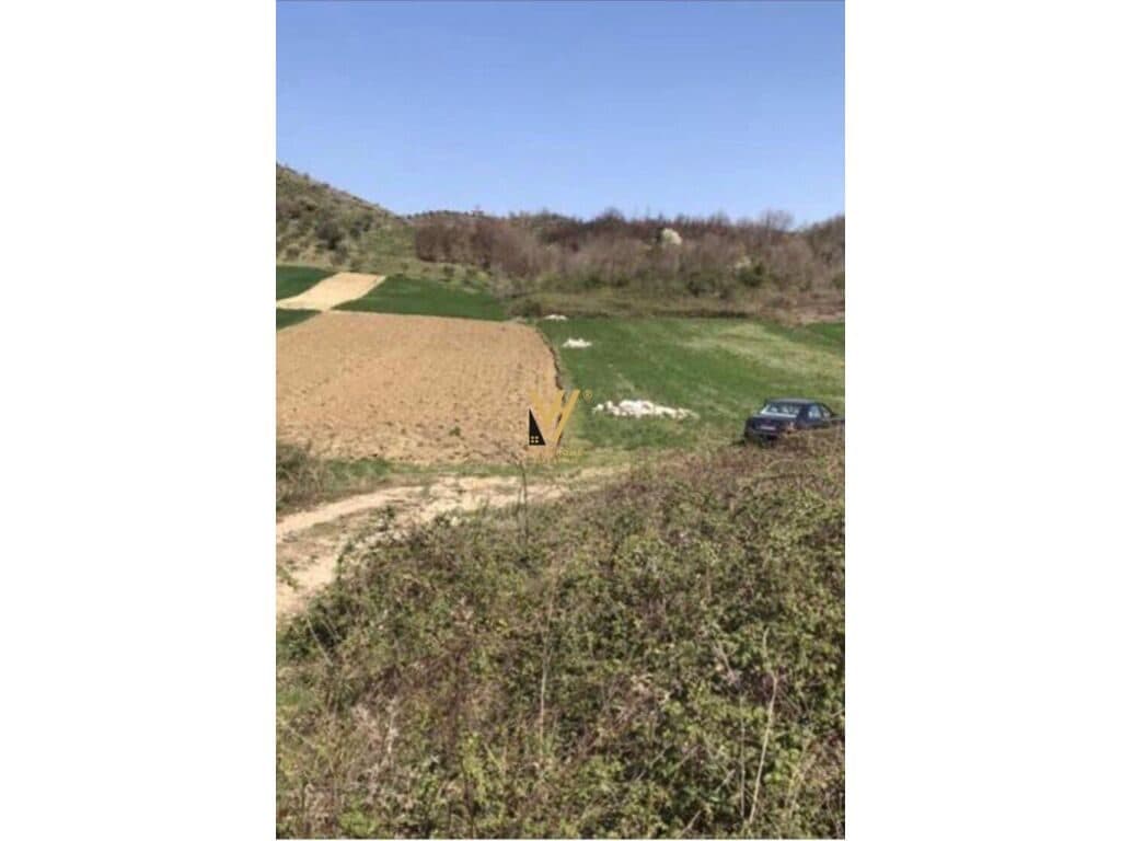 Shitet toke te Gjiri i Lalzit 7000 m2