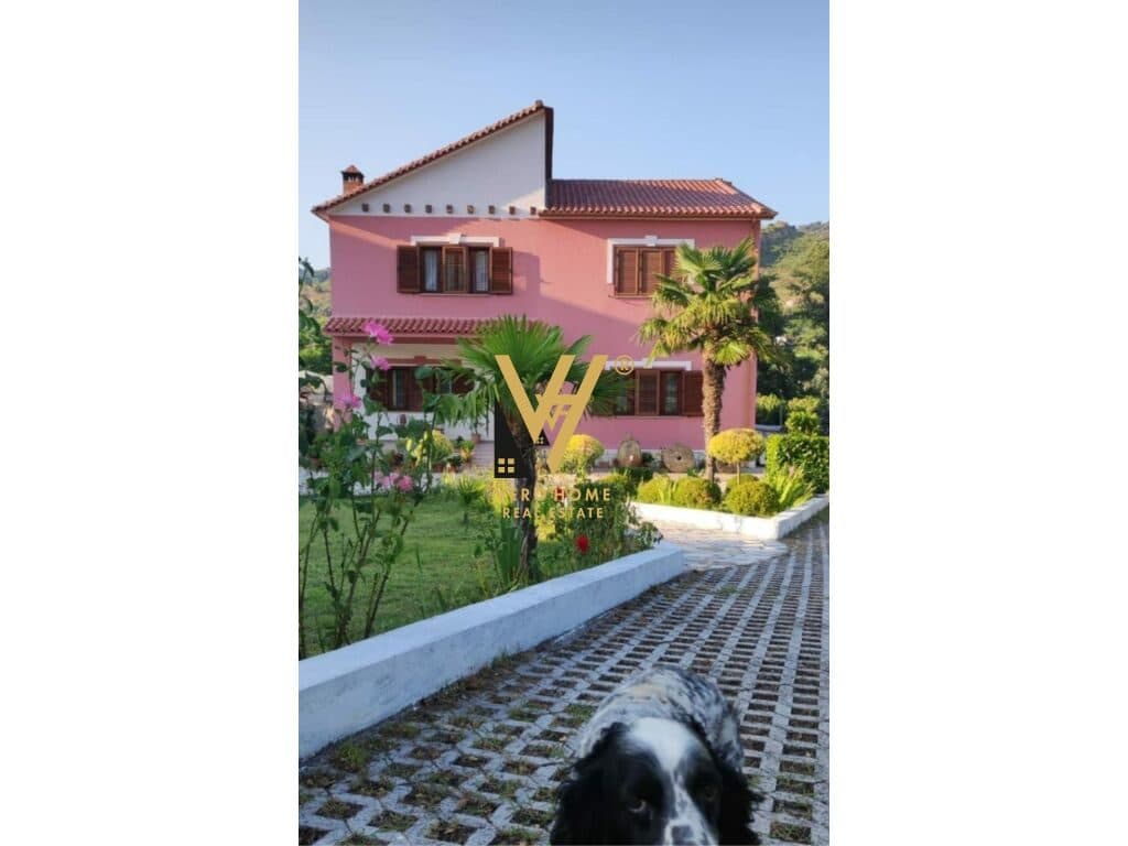 JEPET VILE 2 KATESHE ME QERA NE NDROQ 1.400 EURO