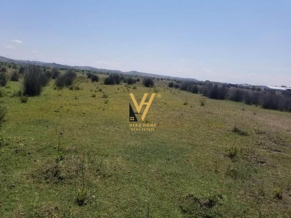 SHITET TOKE ARE 10.000 M2 NE VLORE 26.000 EURO
