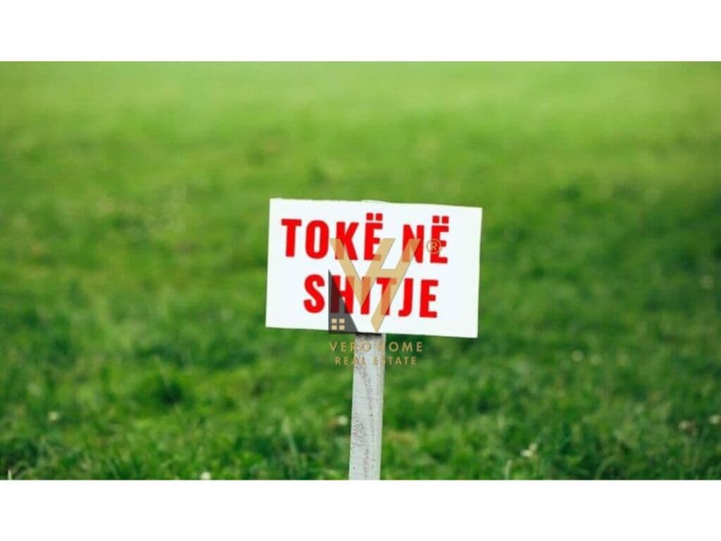 Shitet truall ne Berzhite 1400 m2