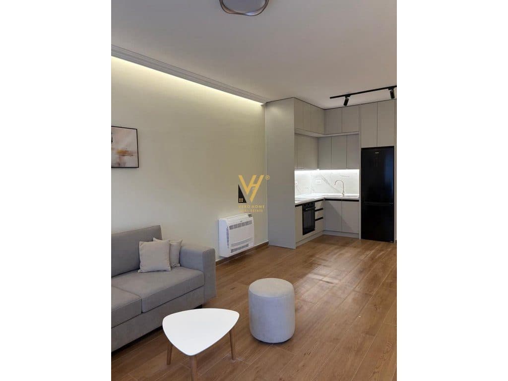 JEPET APARTAMENT 1+1+BLK ME QERA TE AURA,RR.DRITAN HOXHA 550 EURO 2