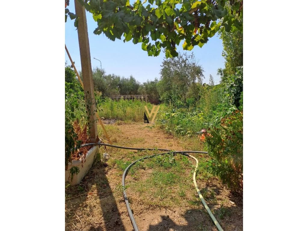 SHITET SHTEPI PRIVATE 534 M2 NE VERRI, FIER 60.000 EURO 4