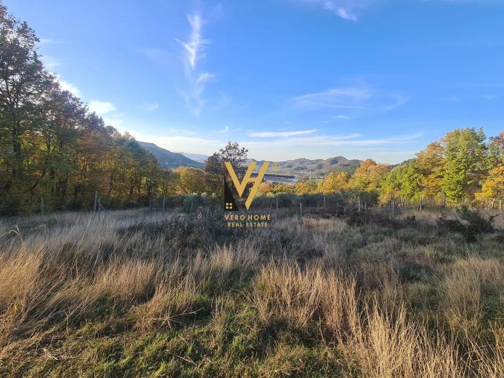 SHITET TOKE 15.000 M2 NE VISHNJE 1