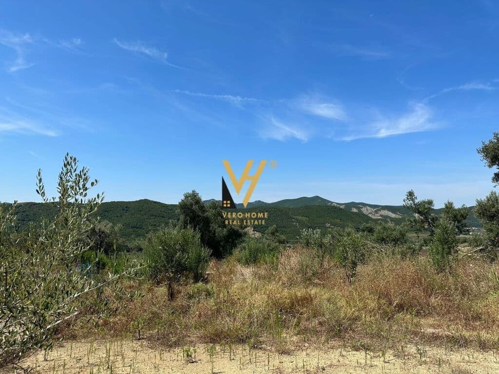 Shitet Toke ne Vishaj 18.000 m2