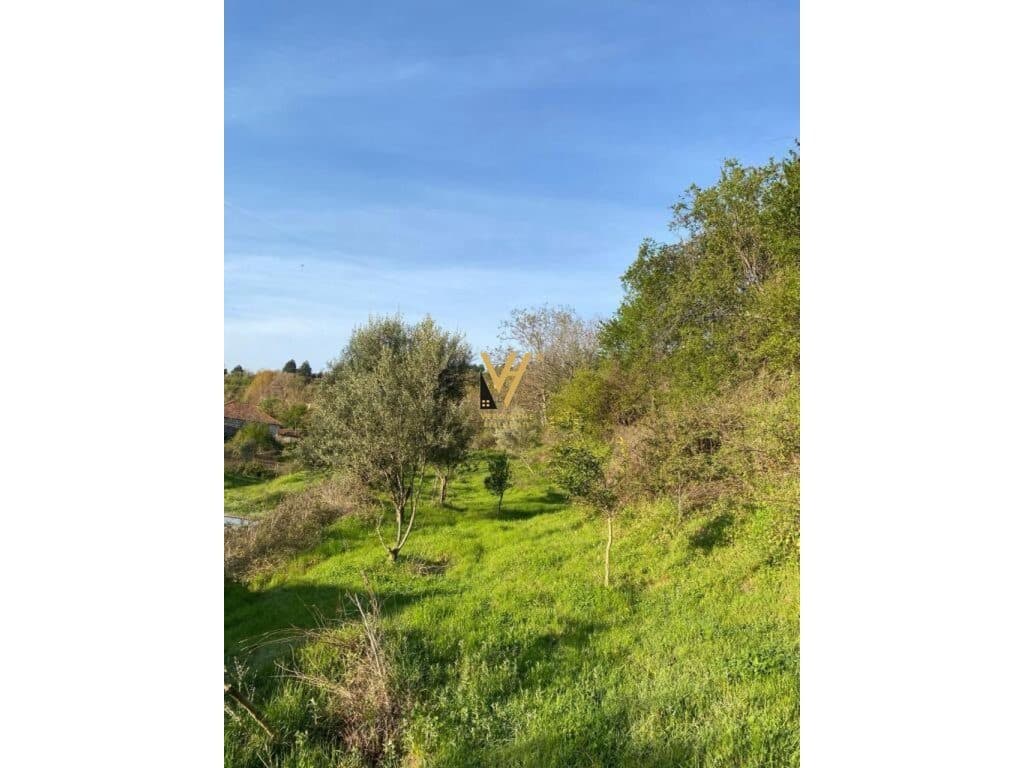 SHITET TOKE 1.300 M2 NE PASKUQAN 273.000 EURO