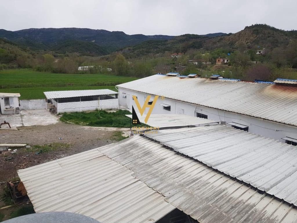 JEPET AMBIENT BIZNESI 1.400 M2 ME QERA NE BALDUSHK 1.300 EURO