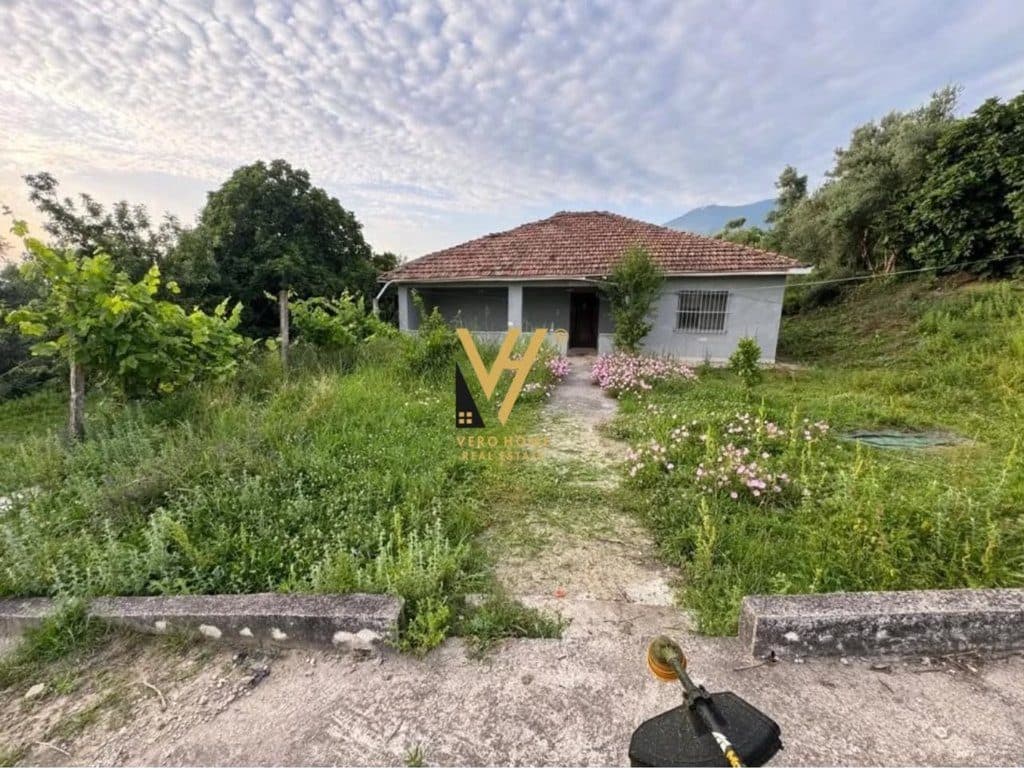 SHITET TOKE ARE 1.000 M2 NE FARKE 185.000 EURO