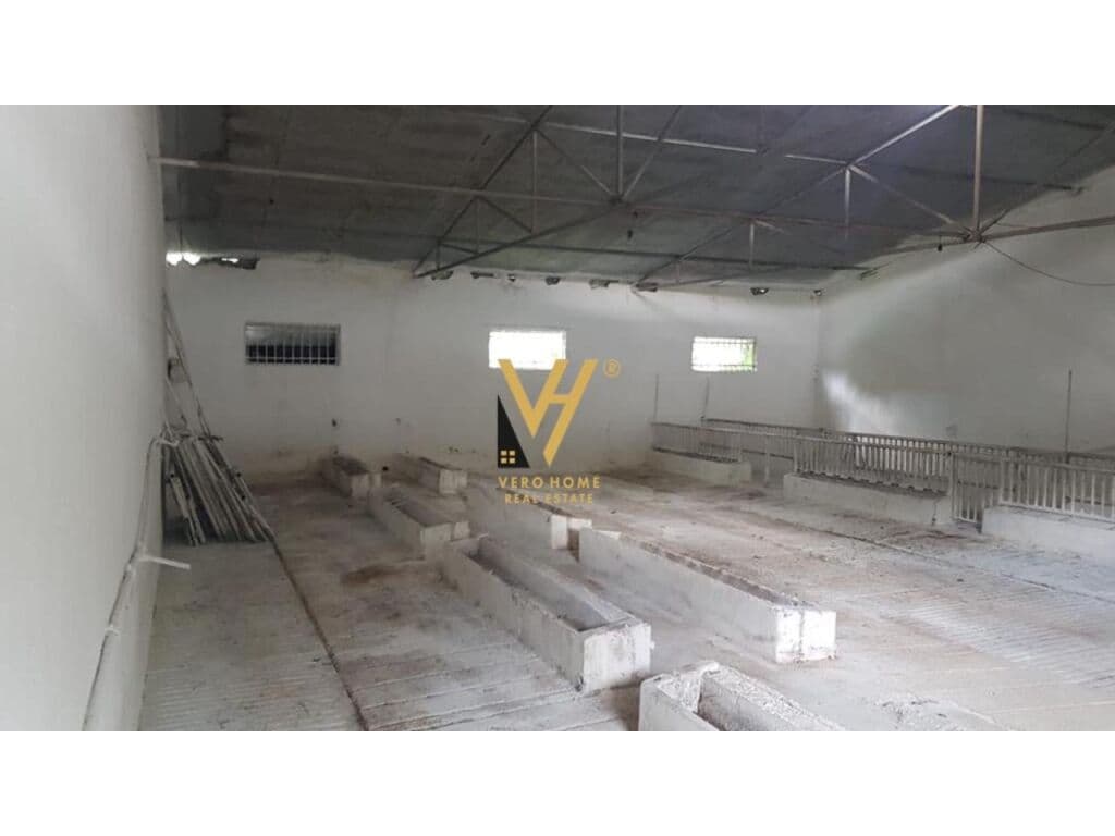 Jepet me qera magazine ne Baldushk 2000 m2 4