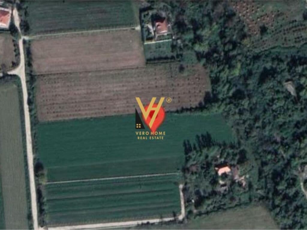 Shitet toke ne Rinas 10.000 m2