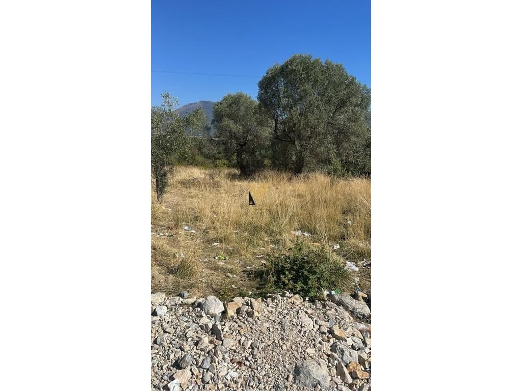 SHITET TOKE ARE 4.000 M2 NE FRAVESH, BERZHITE, TIRANE 5.100.000 LEKE