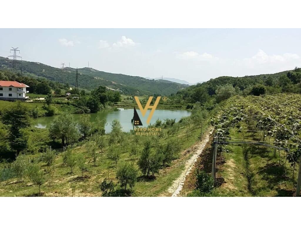 Shitet toke te Linze 6150 m2 2