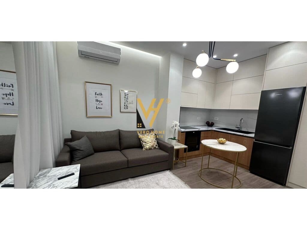 JEPET APARTAMENT 1+1 ME QERA TE RR.KARL GEGA 650 EURO 2