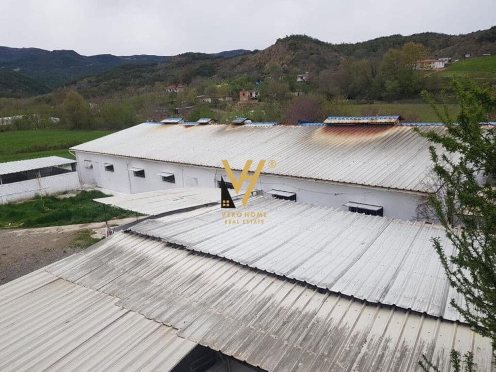 Jepet me qera magazine ne Baldushk 2000 m2