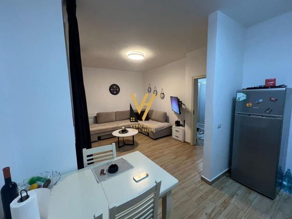 JEPET APARTAMENT 1+1+BLK ME QERA TEK 5 MAJI 550 EURO 2
