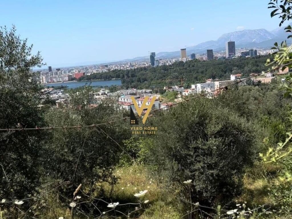 Shitet Truall pran Saukut 1000 m2