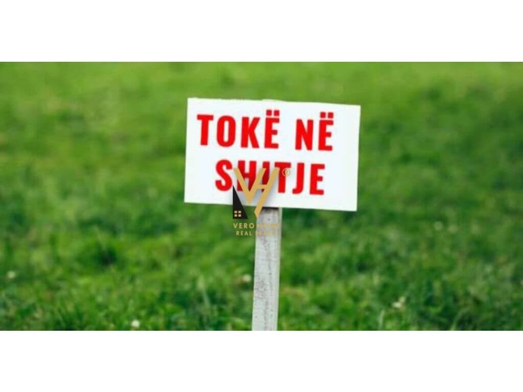 Shitet Toke ne Lunder 2.000 m2