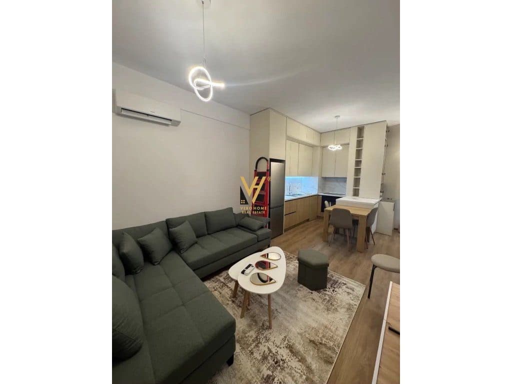 JEPET APARTAMENT 1+1+BLK ME QERA TE KADIU, ALI DEMI 500 EURO 2