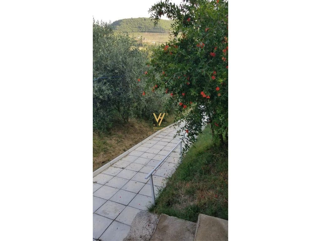 JEPET SHTEPI PRIVATE 2+1 ME QERA NE PICALLE 600 EURO 3