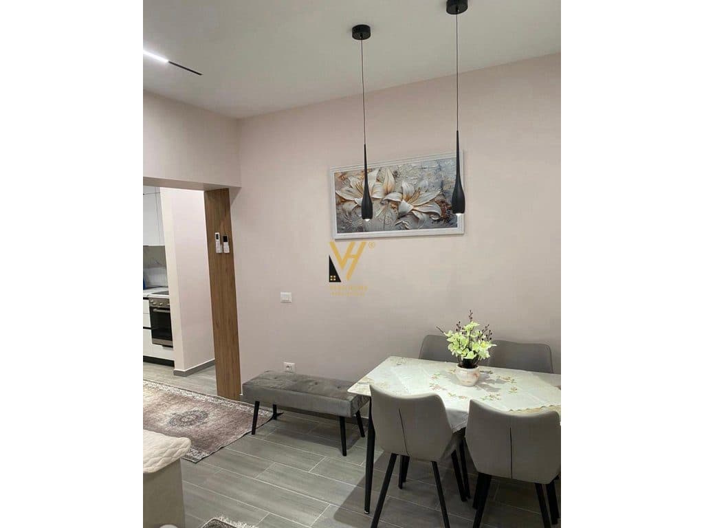 JEPET APARTAMENT 1+1+BLK ME QIRA TE RRUGA E ELBASANIT 75.000 LEKE 2