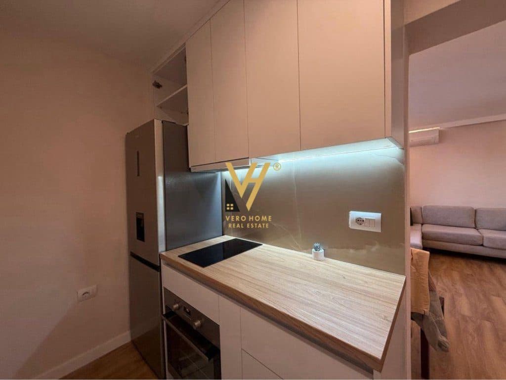 JEPET APARTAMENT 1+1+BLK ME QERA TE MINE PEZA 650 EURO 2