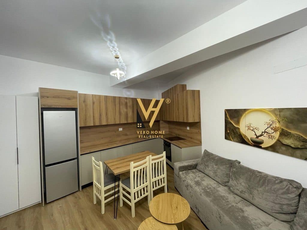 JEPET APARTAMENT 1+1+BLK ME QIRA TE KAIMI , ALI DEM 400 EURO 2