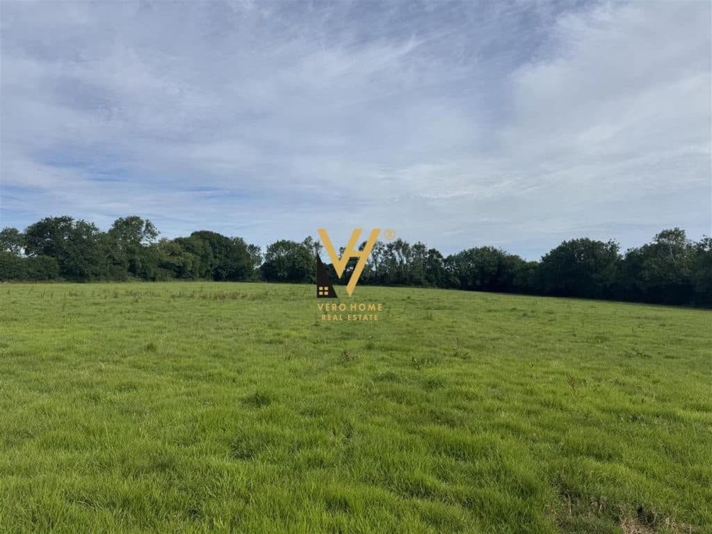 SHITET TOKE 2.100 M2 NE PETRELE 315.000 EURO