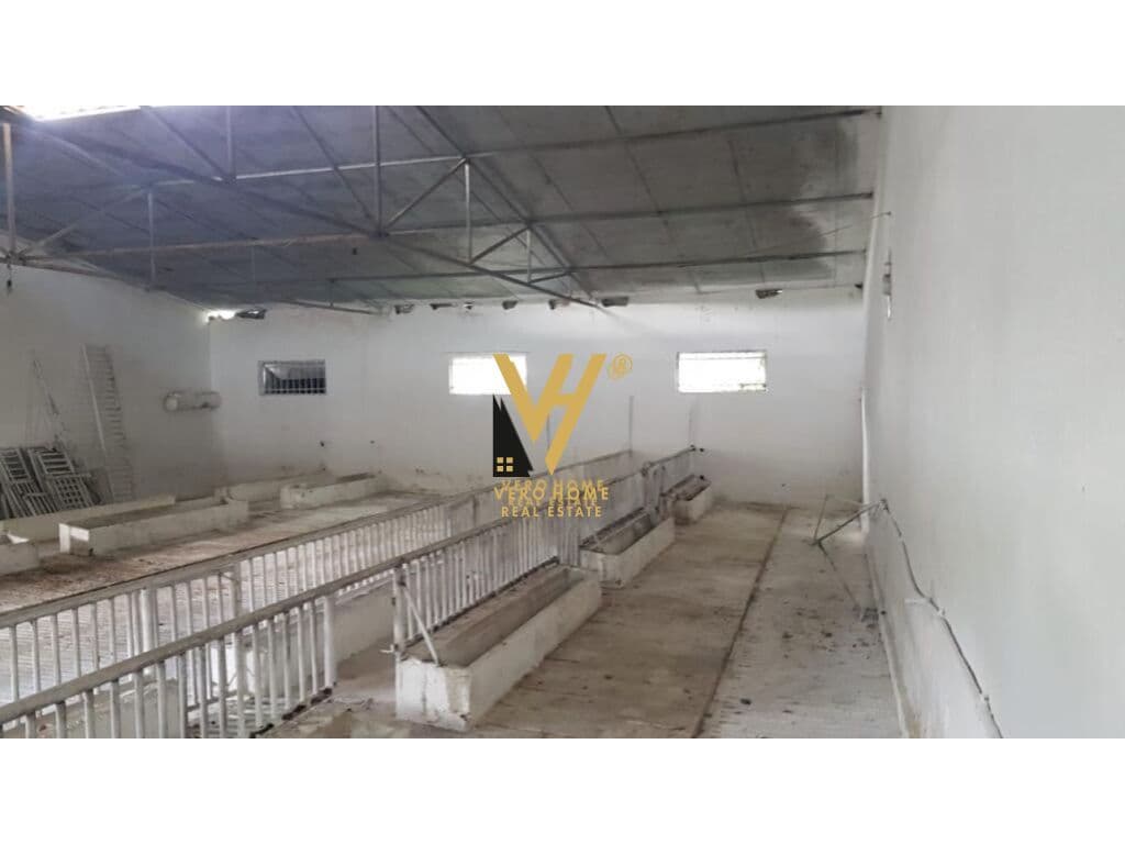 JEPET AMBIENT 2.000 M2 ME QERA NE BALDUSHK 1.600 EURO 2