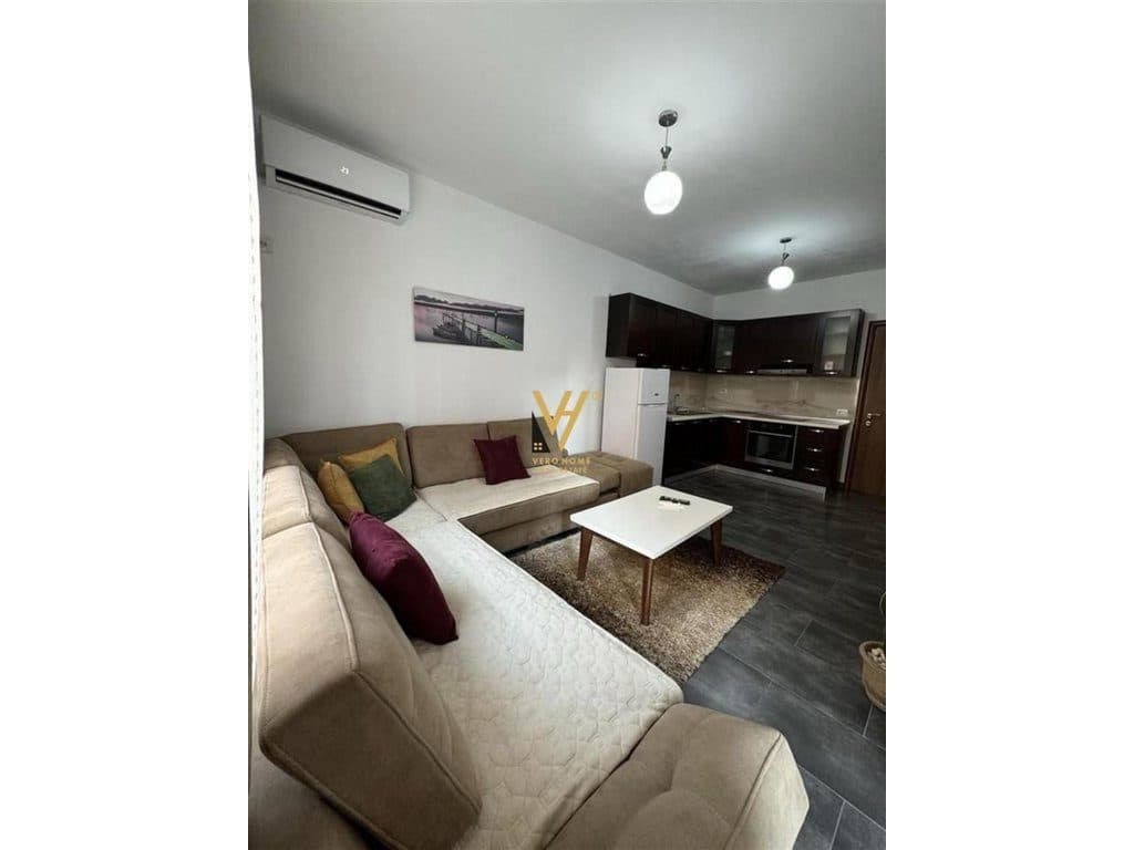 JEPET APARTAMENT 2+1+BLK ME QIRA TE FABRIKA E MIELLIT 540 EURO