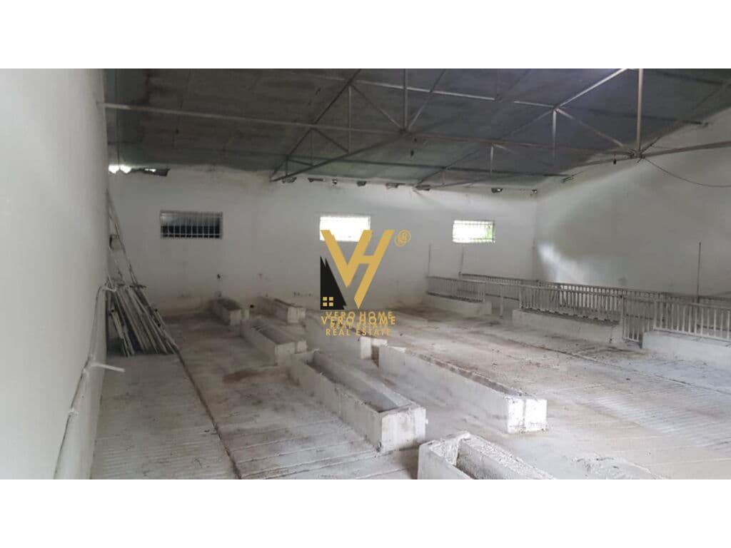 JEPET AMBIENT 2.000 M2 ME QERA NE BALDUSHK 1.600 EURO 3