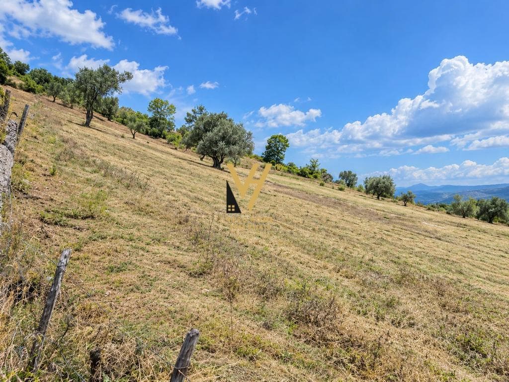 SHITET TOKE 1.500 M2 NE KASHAR 210.000 EURO