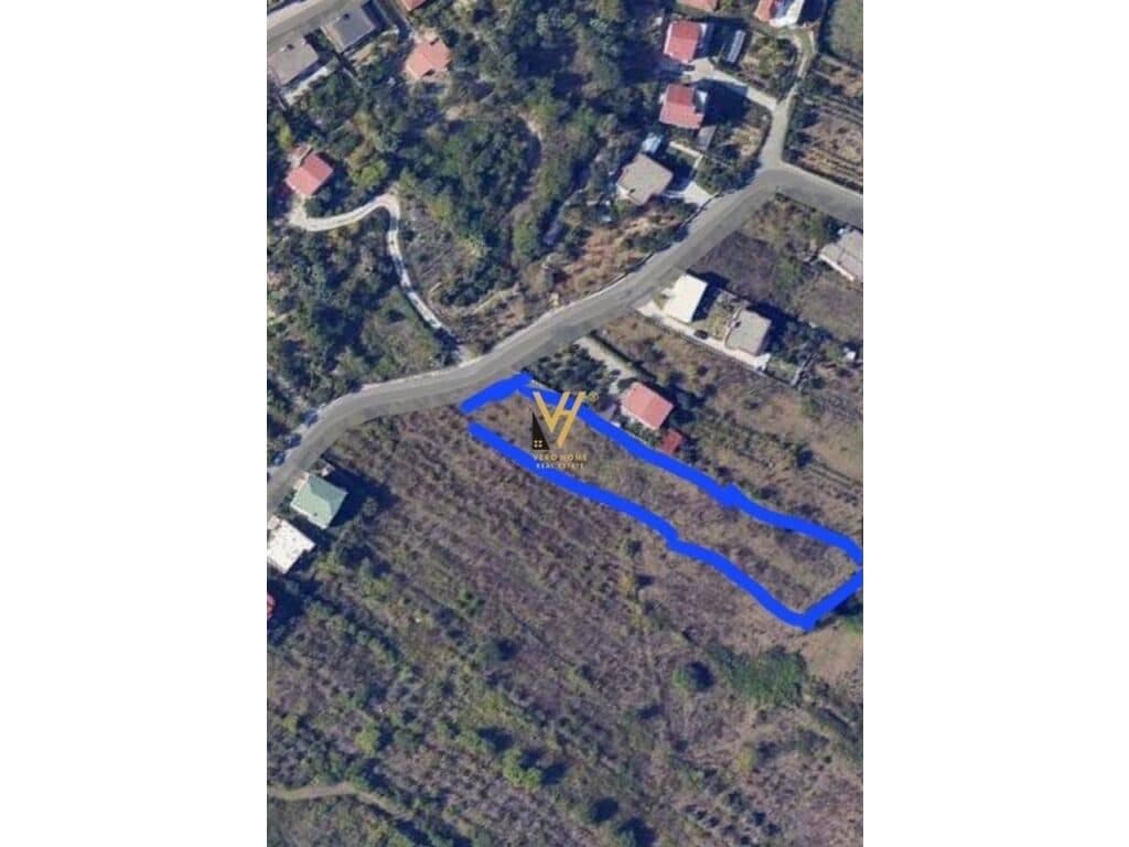 Shitet Toke ne Kashar 2000 m2