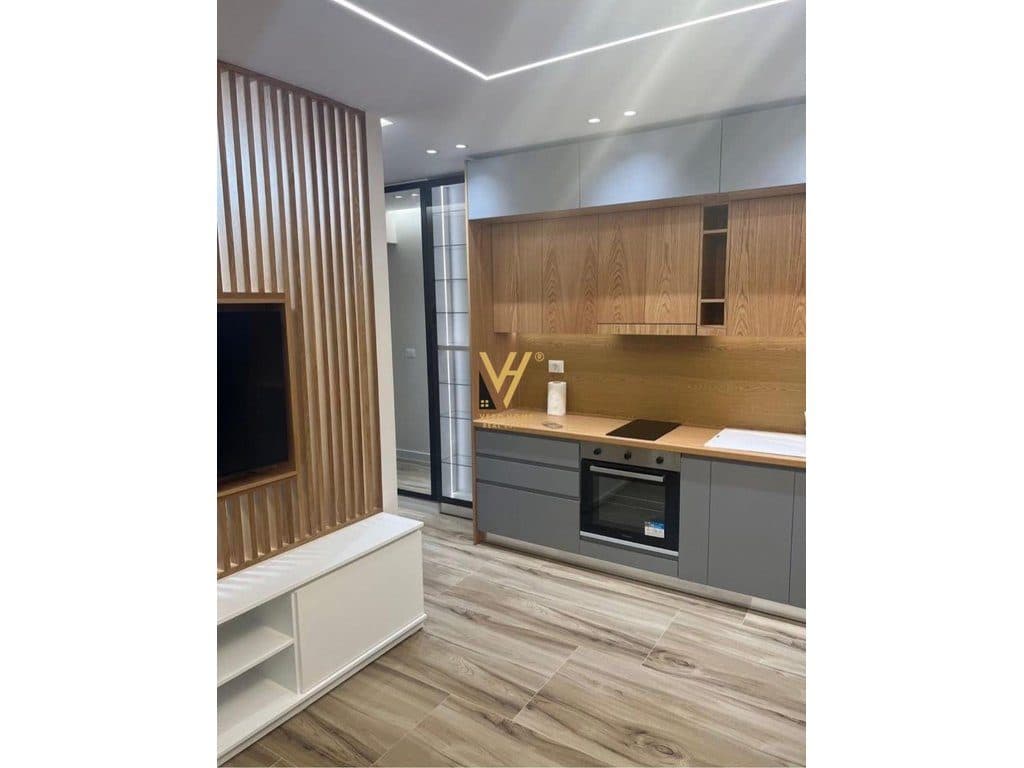JEPET APARTAMENT 1+1+BLK ME QERA TE SELVIA 650 EURO 2
