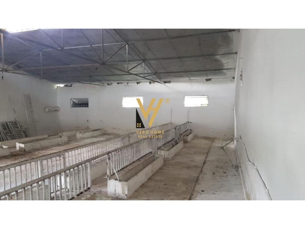 Jepet me qera magazine ne Baldushk 2000 m2 3