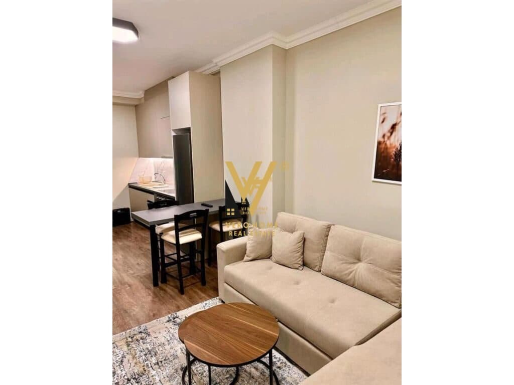 JEPET APARTAMENT 1+1+BLK ME QERA TE BULEVARDI I RI 550 EURO