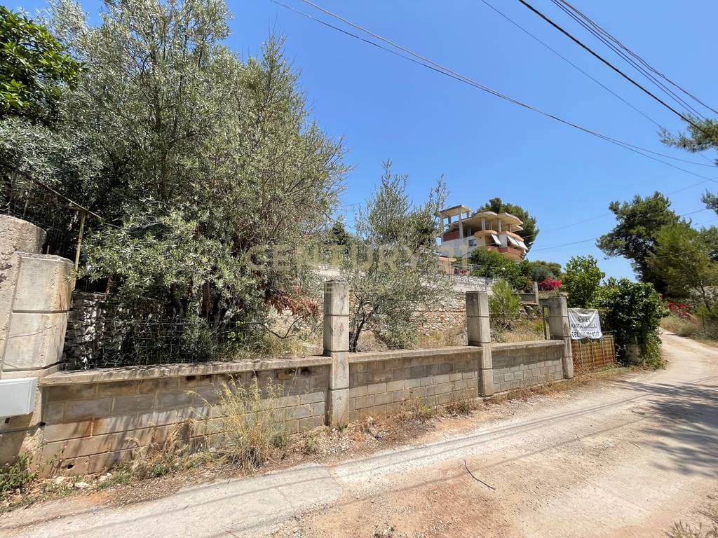 SARANDE, TOKE TRUALL PER SHITJE 3