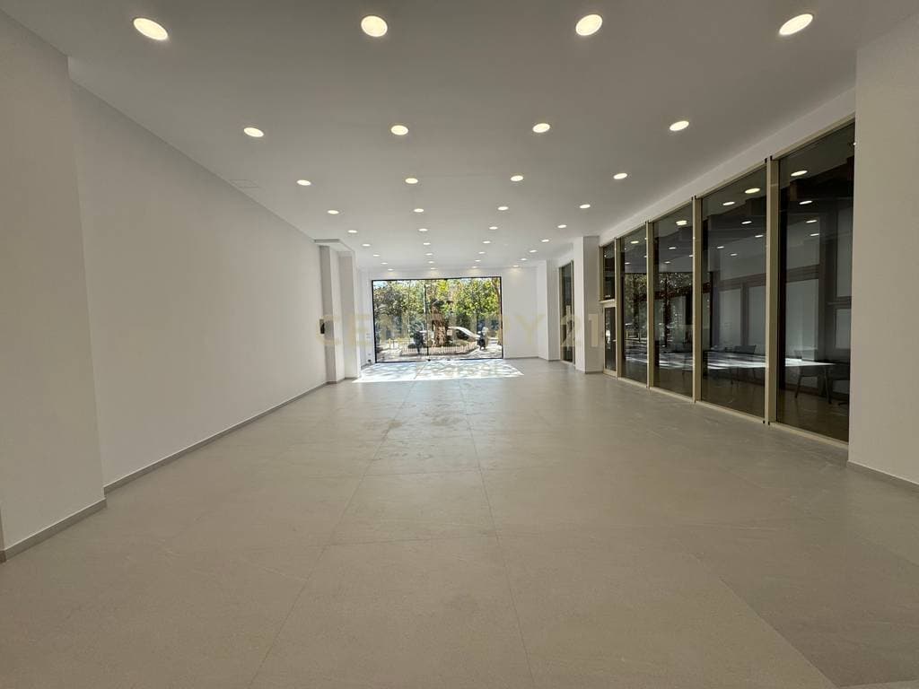 KOMPLEKSI DELIJORGJI, COMMERCIAL FOR SALE 4