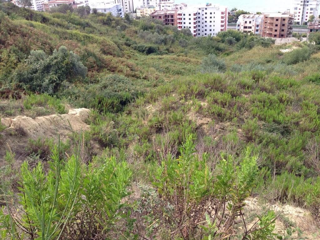 SHITET TOKE ME PAMJE DETI TEK SHKEMBI I KAVAJES , DURRES! 3