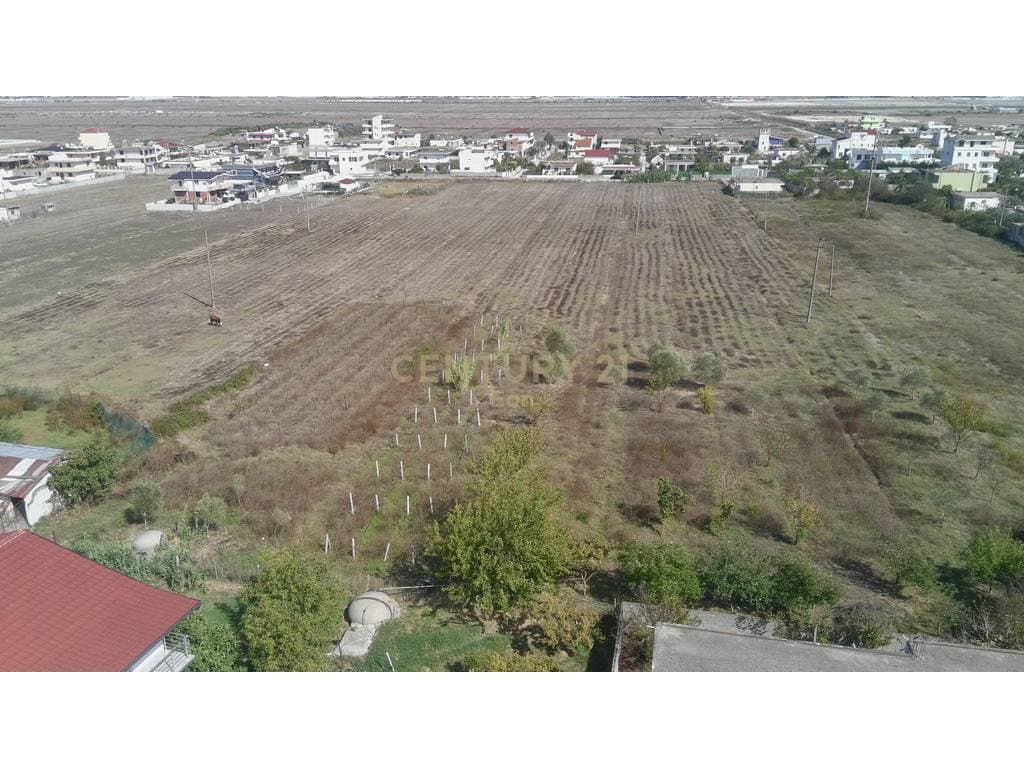 Toke për Shitje Ne Spitalle, Durrës, Hyrje Nga Rruga Kryesore - 656,000€ | 16000 m² 3
