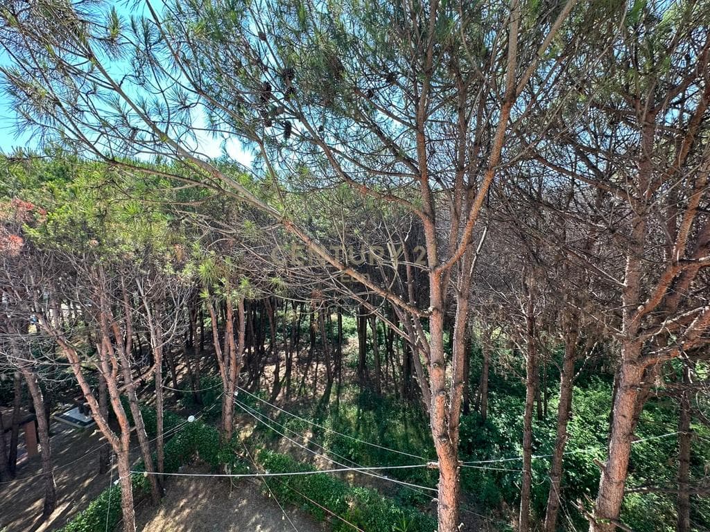 SHITET APARTAMENT 1+1 NE QERRET 100METRA NGA DETI KOMPLEKSI “DIELL” ! 4