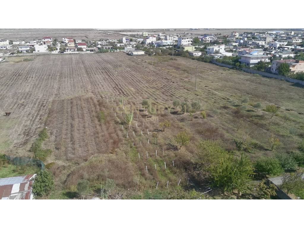Toke për Shitje Ne Spitalle, Durrës, Hyrje Nga Rruga Kryesore - 656,000€ | 16000 m² 4