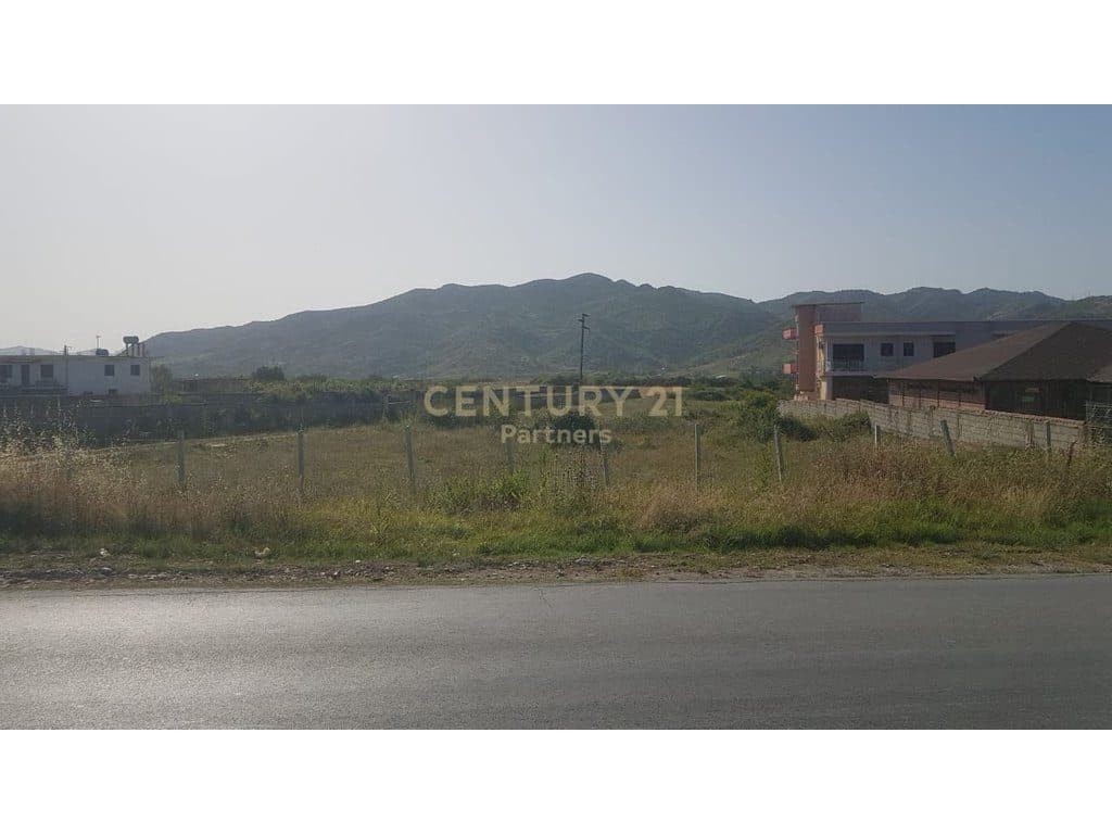 TOKE PER SHITJE NE PEZE BUZE RRUGES KRYESORE 2