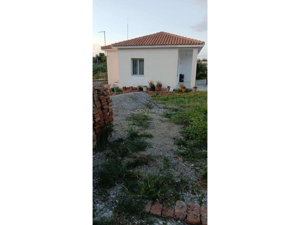 ✔️ Property for Sale in Guze, Durrës – Ideal for Agrotourism & Investment