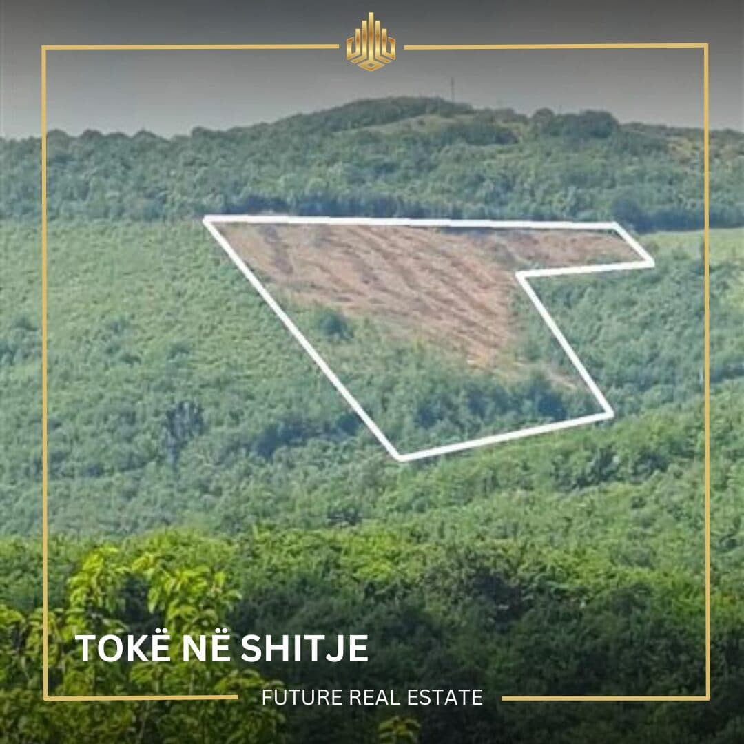 Tokë në SHITJE/1.4 hektar 1