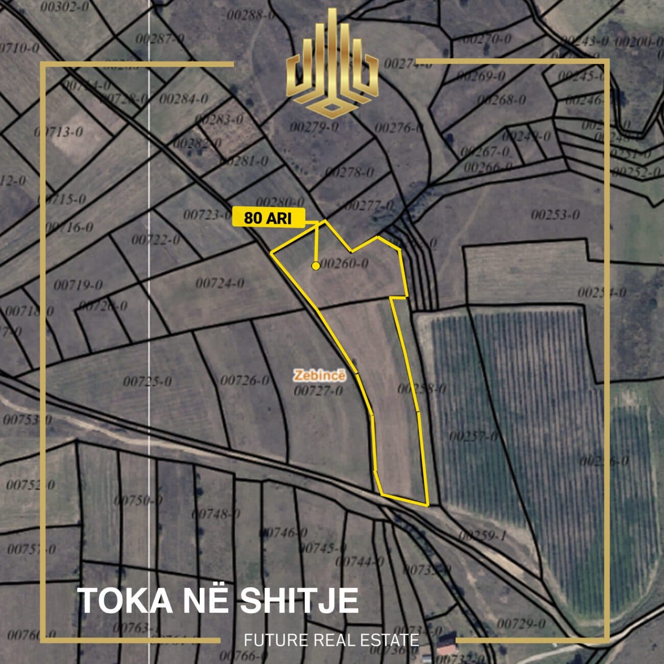 Toka në SHITJE/80 Ari